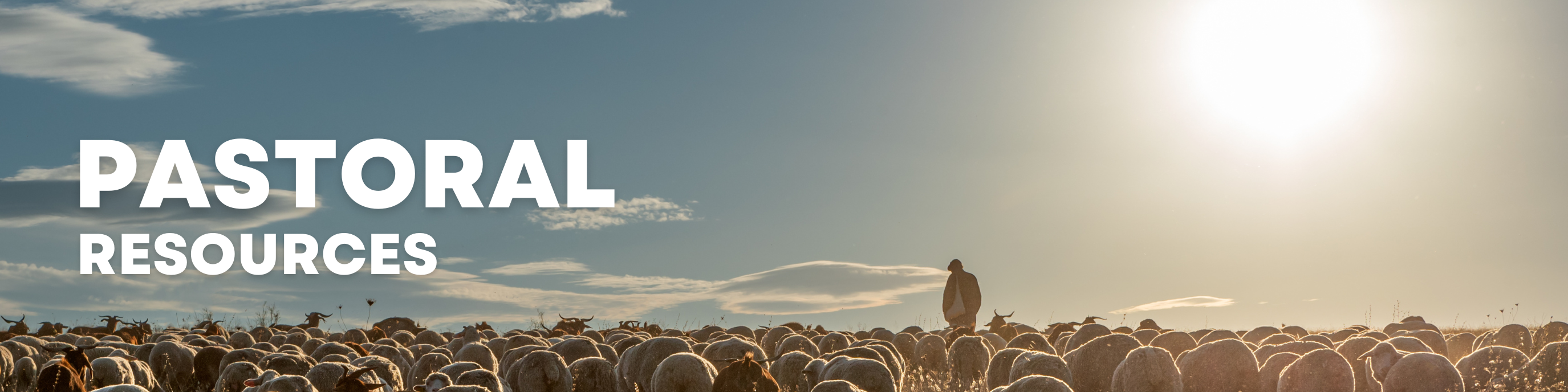 Pastoral Resources – Bayard Faith Resources