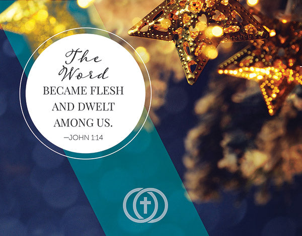 The Shepherd Guides Cards - For Marriage - Christmas Card