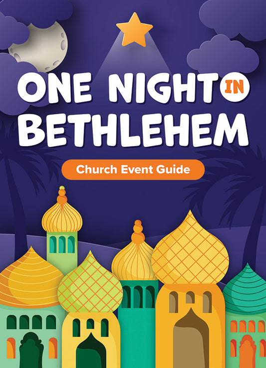 One Night in Bethlehem