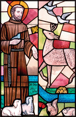 St Francis Prayer Card
