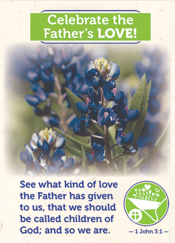 Father's Day Seed Packet