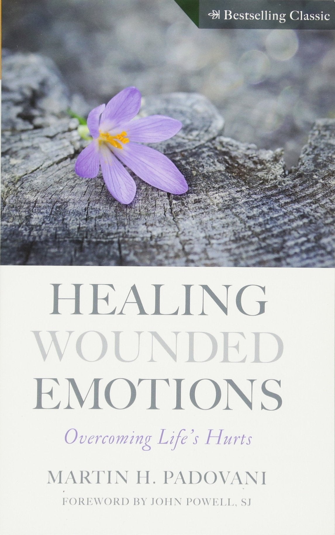 Healing Wounded Emotions