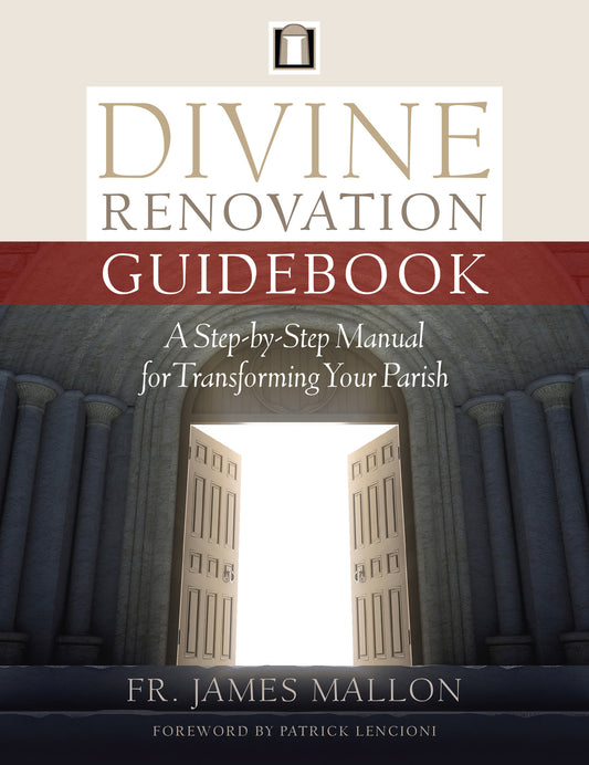 Divine Renovation Guidebook