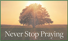 Never Stop Praying Weekly Reflection Questions