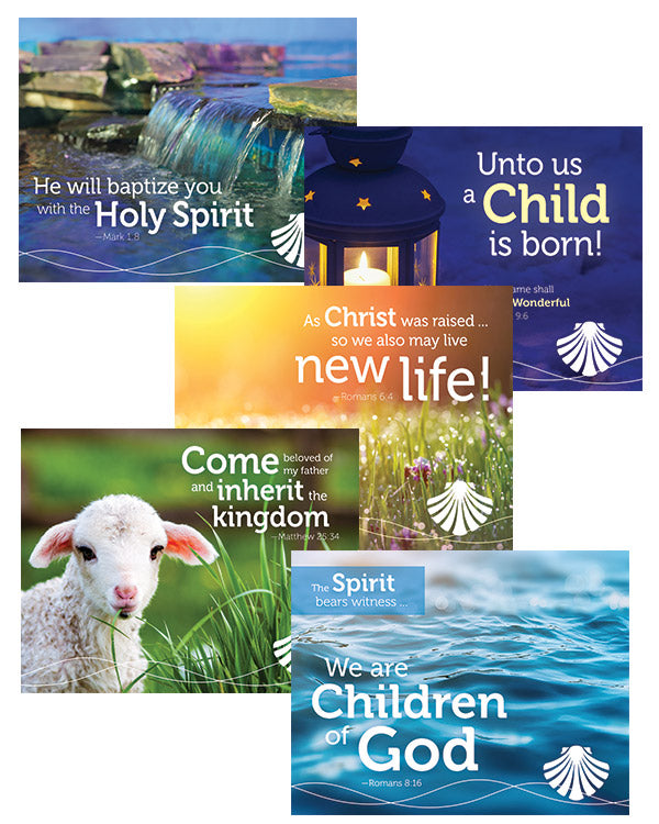 The Shepherd Guides Cards for Baptism