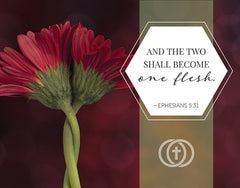The Shepherd Guides Cards for Marriage Bundle