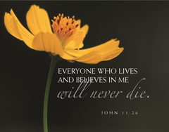 Sympathy Card: Everyone Who Lives And Believes In Me Will Never Die