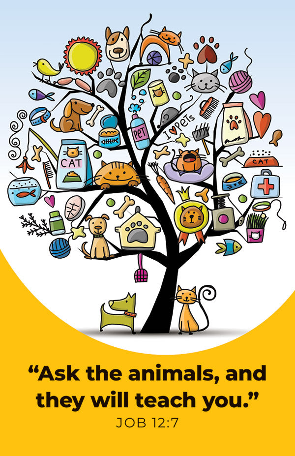 Creative Communications for the Parish Bayard Faith Resources