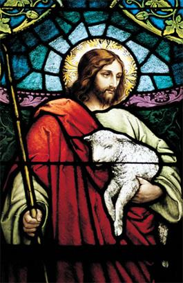 "Anima Christi Prayer Card" features a stained glass of Jesus holding a lamb.