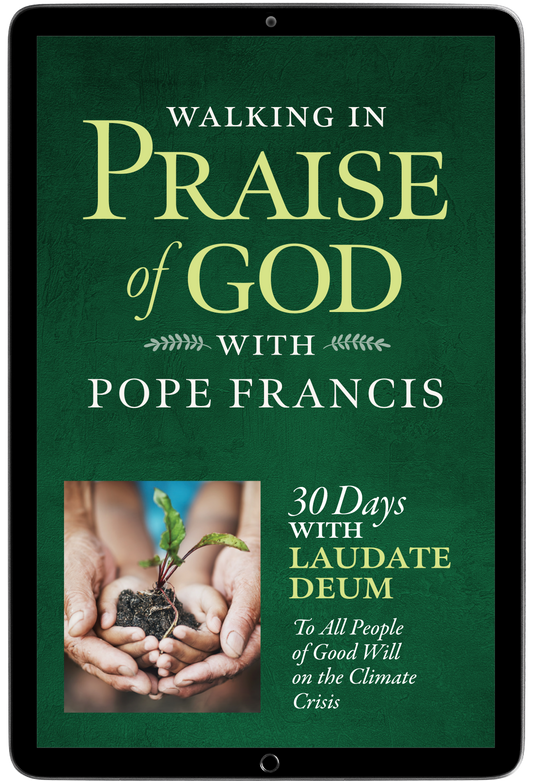 Walking in Praise of God with Pope Francis E-Resource